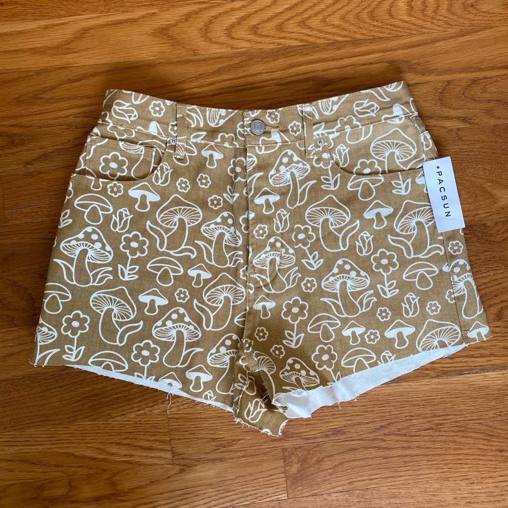 PacSun Vintage High Rise Shorts